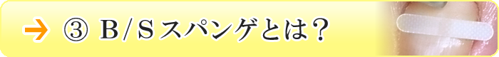 BSスパンゲとは